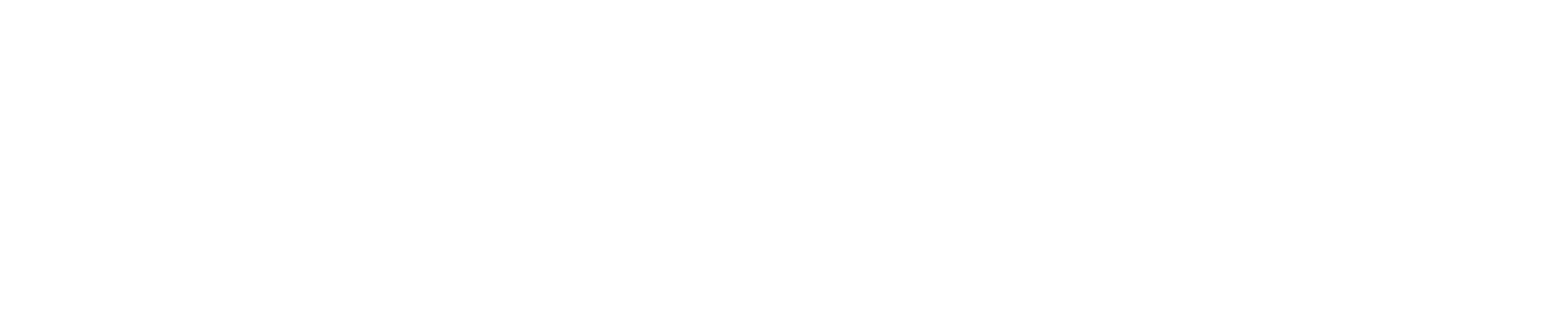 2WICE Clothing